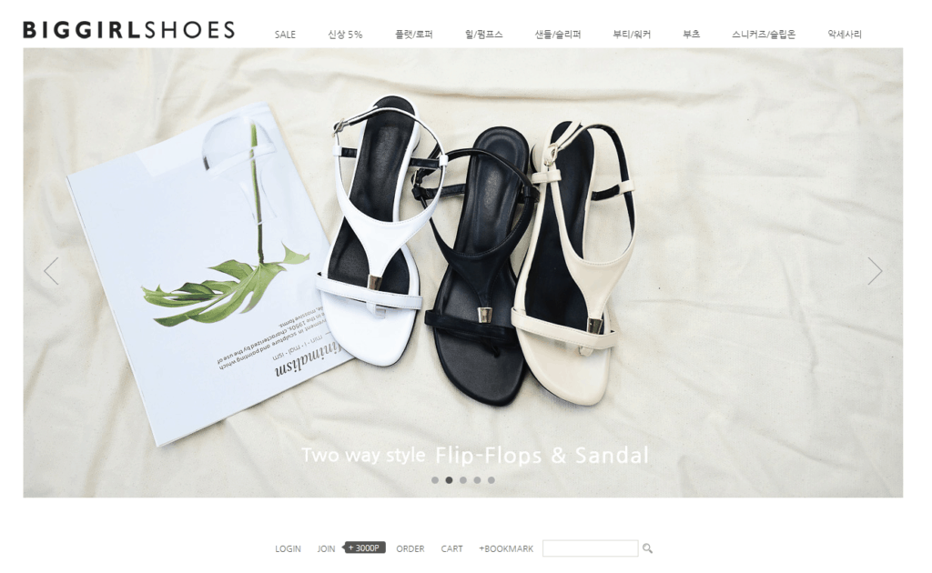 Big Size Shoe Store in Korea, biggirlshoes.co.kr