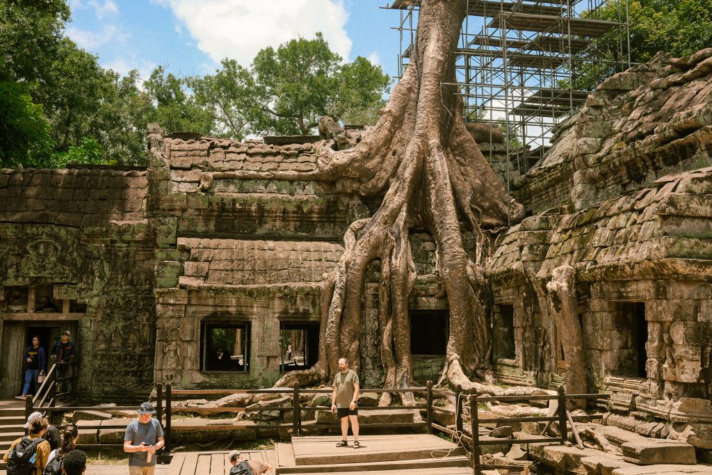 Overgrown tree in Angkor, Siem Reap, Cambodia